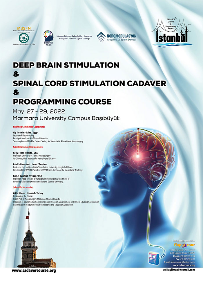 Derin Beyin Stimülasyonu ve Spinal Kord Stimülasyonu